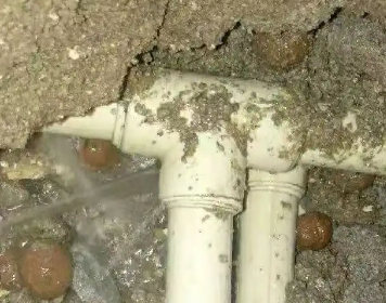 平原测漏水多少钱