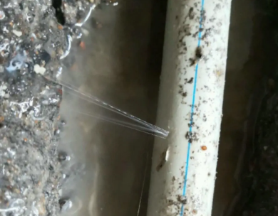 平原测漏水哪家好